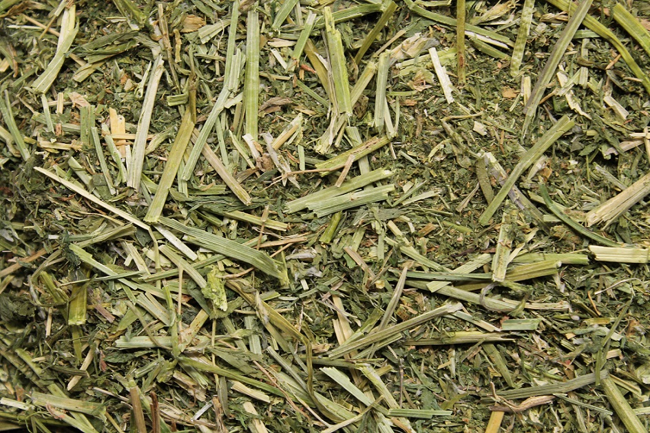 Heißluft Luzerne QB-nah-oben